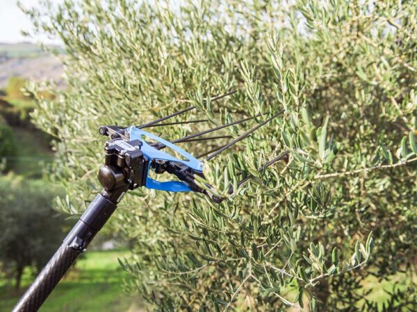 Abbacchiatore pneumatico per raccolta olive Storm
